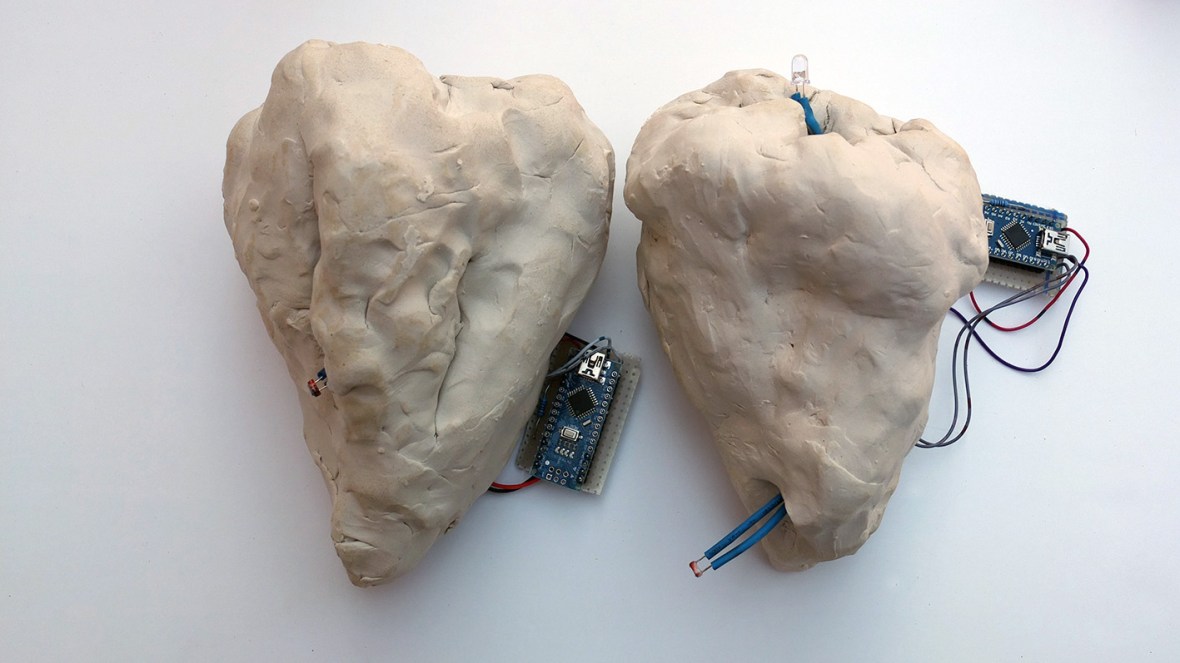 BibianaMartinezThe Assembly of the FirefliesDetail.jpg